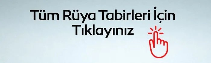 0x0-ruyada-ari-kovalamasi-ne-anlama-gelir-ruyada-ari-kovalamasi-gormenin-anlami-1655277759784-1
